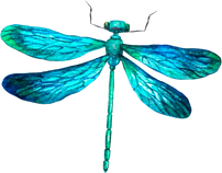 Watercolor Blue Dragonfly